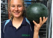 CANONBALL WATERMELON LARGE Size Gisborne Grown 